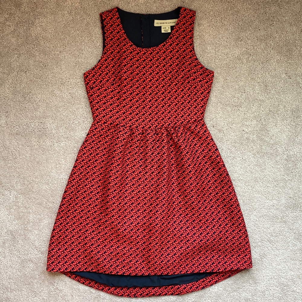 Lili Wang Classy Dress